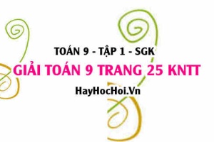 Giải Toán 9 trang 25 tập 1 Kết nối tri thức SGK